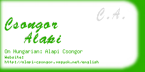 csongor alapi business card